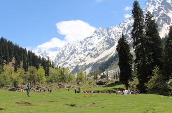 Kashmir 5N - 6D Tour From Katra To Srinagar