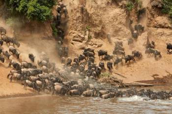 6-Day Serengeti Migration Safari