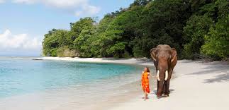 Amazing Adventure Andaman Tour