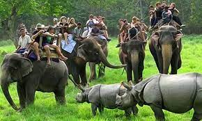 Guwahati - Kaziranga Tour Package 2 Night - 3 Days