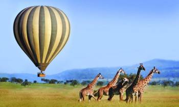 4 Days Explore Tanzania Safari Tour