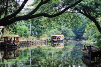 5 Night Cochin - Munnar - Thekkady - Alleppey Tour