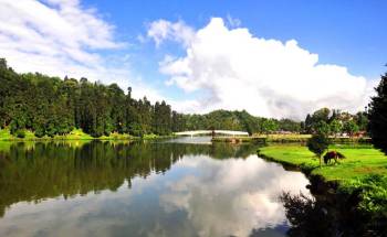 6 Night Darjeeling - Mirik - Gangtok Tour