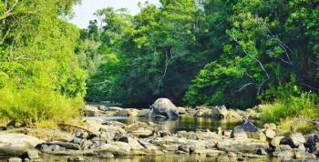 4 Nights Wayanad - Coorg Tour Package