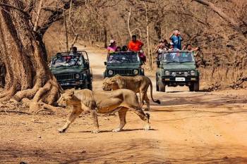 5 Days Dwarka - Somnath - Sasan Gir Tour Package