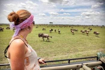 A Taste of the Savanna Safari 2 Day Travel Plan