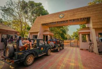 3 Nights & 4 Days Tiger Corridor Tour