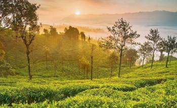 3 Night 4 Days Ooty - Coimbatore Tour Package
