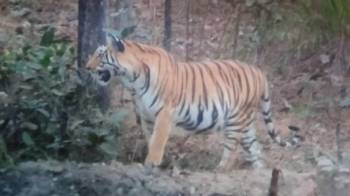 2 Nights  3 Days Bandhavgarh National Park Tour