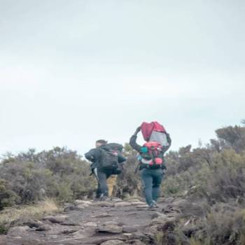 6 Days Kilimanjaro Hiking Via Machame Route