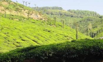 5 Days Mangalore - Hornadu - Sringeri - Dharmasthala Tour