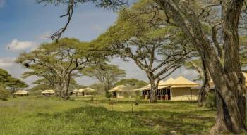 3 Days 2 Nights Tanzania Safari Adventure (Camping Lodge)