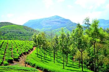 10N 11D Kerala Tour Package