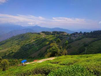 3N/4D DARJEELING GROUP TOUR