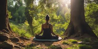 Meditation & Yoga: The Digital Detox Sanctuary