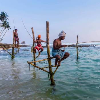 5 Night - 6 Days Sri Lanka Tour