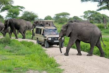 7D Tanzania Safari Tarangire-Serengeti-Ngorongoro-Hunting With Hadzabe Tribe In Lake Eyasi Tour