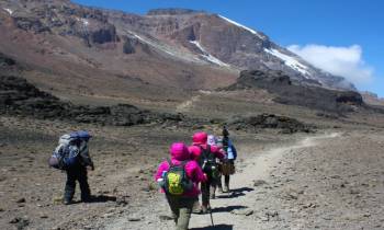 7 Days Kilimanjaro Trekking Rongai Route Tour