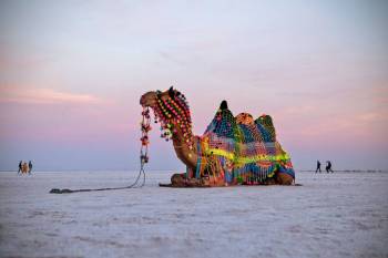 Gujarat Rann Utsav Mfl 3N 4D Tour