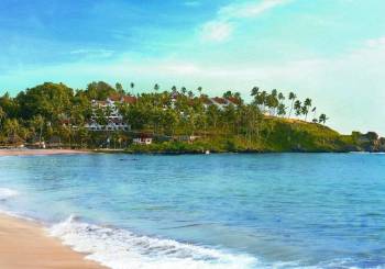 The Best Of Kerala Kochi - Munnar - Alleppey - Kovalam 6N 7DPackage