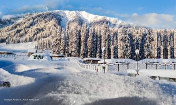 Kashmir Package - Explore Yusmarg 6N 7D