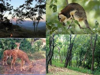 3N 4D Chinnar Wildlife Sanctuary Package