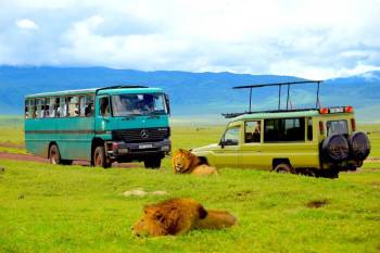 4D Safaris To Serengeti-Ngorongoro-Tarangire-Nyerere National Parks Tour