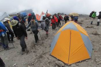 9D Mount Kilimanjaro Via Northern Circuit Route Tour