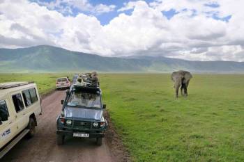 14D Bush To Beach-City-Cultural Safari - Ngorongoro Adventure Tour