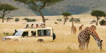 3 Days - 2 Nights Private Safari Tour