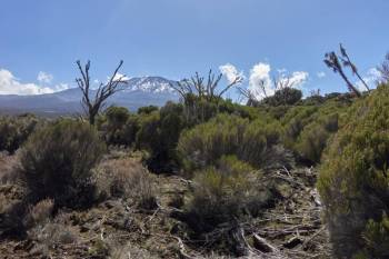 8 Days Kilimanjaro Climb Via Lemosho route