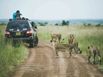 8 Days Mara - Lake Nakuru - Amboseli - Tsavo East - West Tour