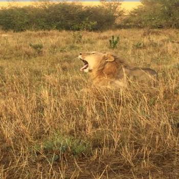 6 Days Beach To Bush Safari Tour