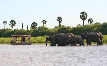 Full Day In Selous - Nyerere National Park Tour