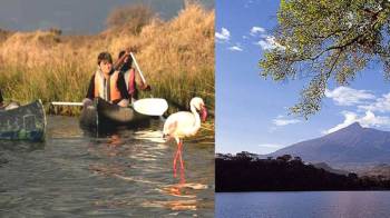 One Day Lake Duluti Canoeing And Nature Walk Tour