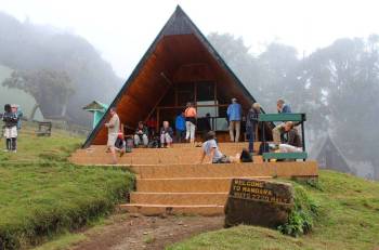 Kilimanjaro Day Hike - Mandara Hut