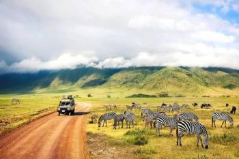 2 Days Tanzania Safari Tour