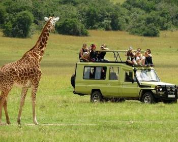 11 Night - 12 Day Wildlife Safari Tour Package