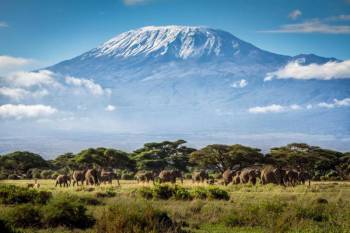 5 Nights, 6 days Amboseli NP, Masai Mara NR and Lake Nakuru NP Mid-range Tour