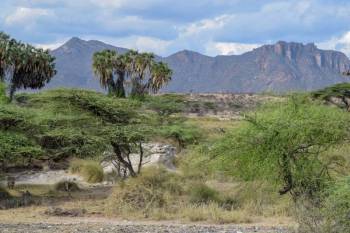 2 Nights, 3 Days,  Northern Kenya Adventure