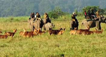 Meghalaya - Kaziranga 6 Nights 7 Days Tour