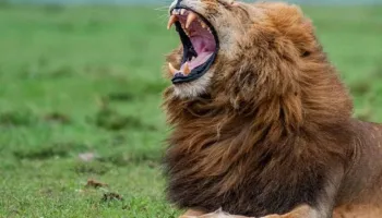 4 Nights 5 Days Tour Package