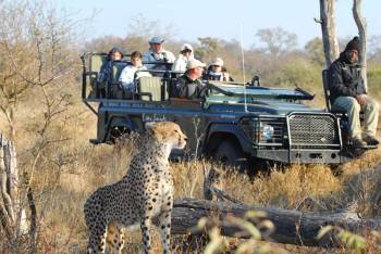 6 Days Kruger And Sabi Sands Tour