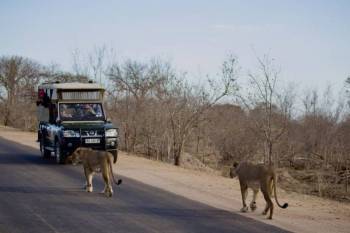 8 Days Cape Town Kruger National Park Vaal Water Tour