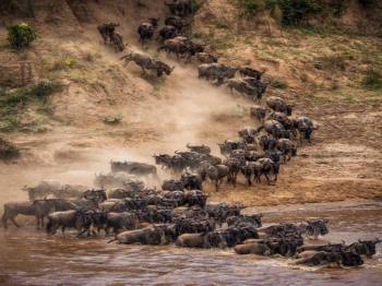 5-Day Serengeti Migration Safari