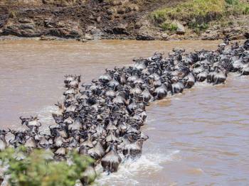 5-Day Serengeti Migration Safari