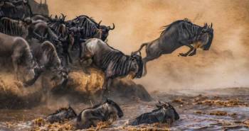 5 Days Serengeti Migration Safari Tour