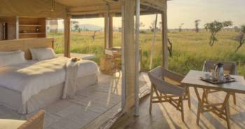 5 Days Luxury Tanzania Safari Tour