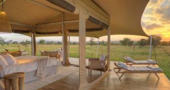 6 Days Luxury Tanzania Safari Tour
