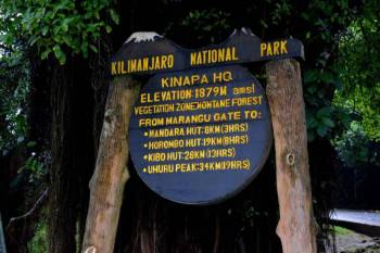 6 Days Marangu Route Kilimanjaro Climbing Tour